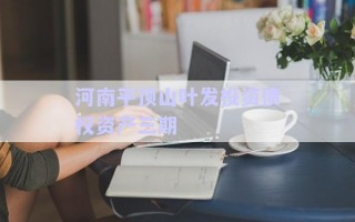 河南平頂山葉發投資債權資產三期