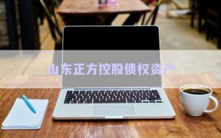 山東正方控股債權資產