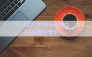 XX開(kāi)發(fā)債權(quán)資產(chǎn)01-05政府債定融