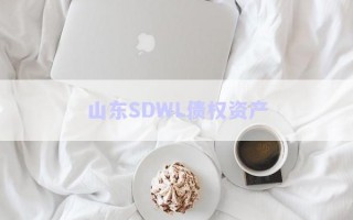山東SDWL債權資產