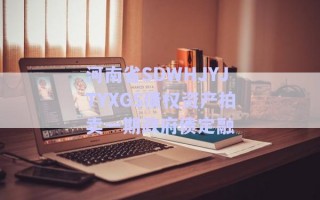 河南省SDWHJYJTYXGS債權資產拍賣一期政府債定融