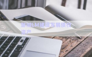 鄒城LM建設發展債權資產