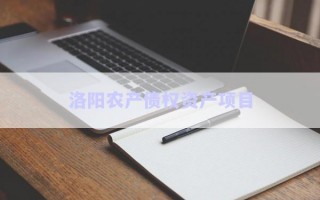 洛陽農產債權資產項目