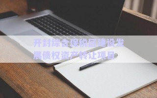 開封綜合保稅區建設發展債權資產轉讓項目
