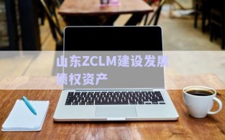 山東ZCLM建設發展債權資產