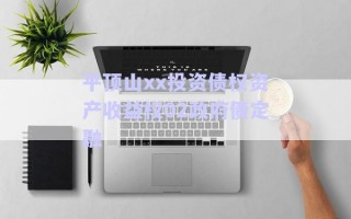 平頂山xx投資債權資產收益權02政府債定融