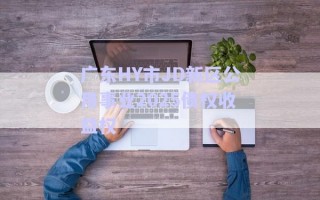 廣東HY市JD新區公用事業2025債權收益權