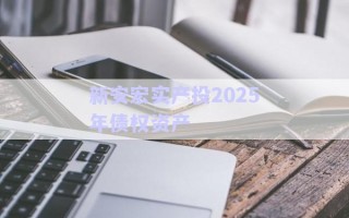 新安宏實產投2025年債權資產