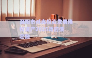 洛陽市誠鑫投資發展債權資產2025政府債定融