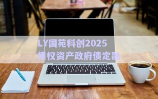 LY國苑科創2025債權資產政府債定融