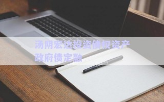 湯陰宏達投資債權資產政府債定融