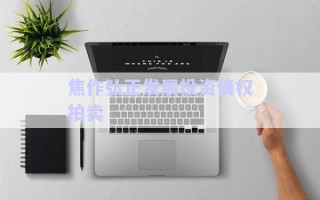 焦作弘正發展投資債權拍賣