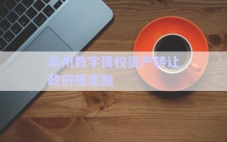 牟州數字債權資產轉讓政府債定融