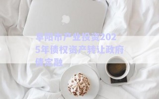 阜陽市產(chǎn)業(yè)投資2025年債權(quán)資產(chǎn)轉(zhuǎn)讓政府債定融