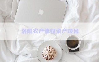 洛陽農產債權資產項目