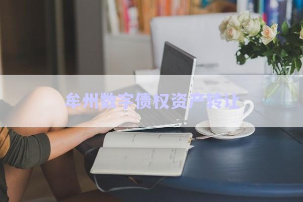 牟州數字債權資產轉讓-第1張圖片-政信固收網