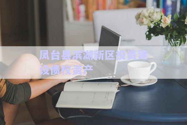 鳳臺縣濱湖新區投資建設債權資產-第1張圖片-政信固收網