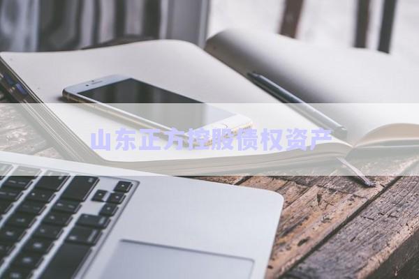 山東正方控股債權資產-第1張圖片-政信固收網