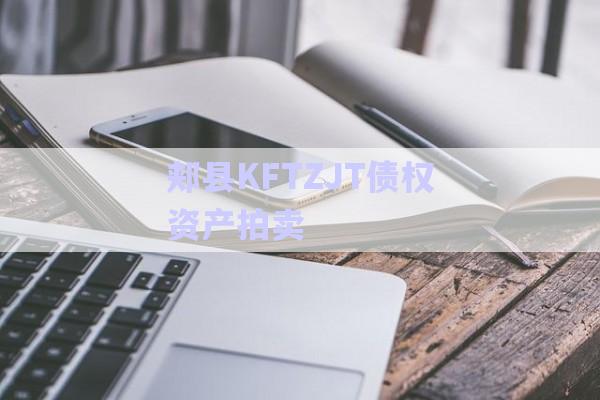 郟縣KFTZJT債權資產拍賣-第1張圖片-政信固收網